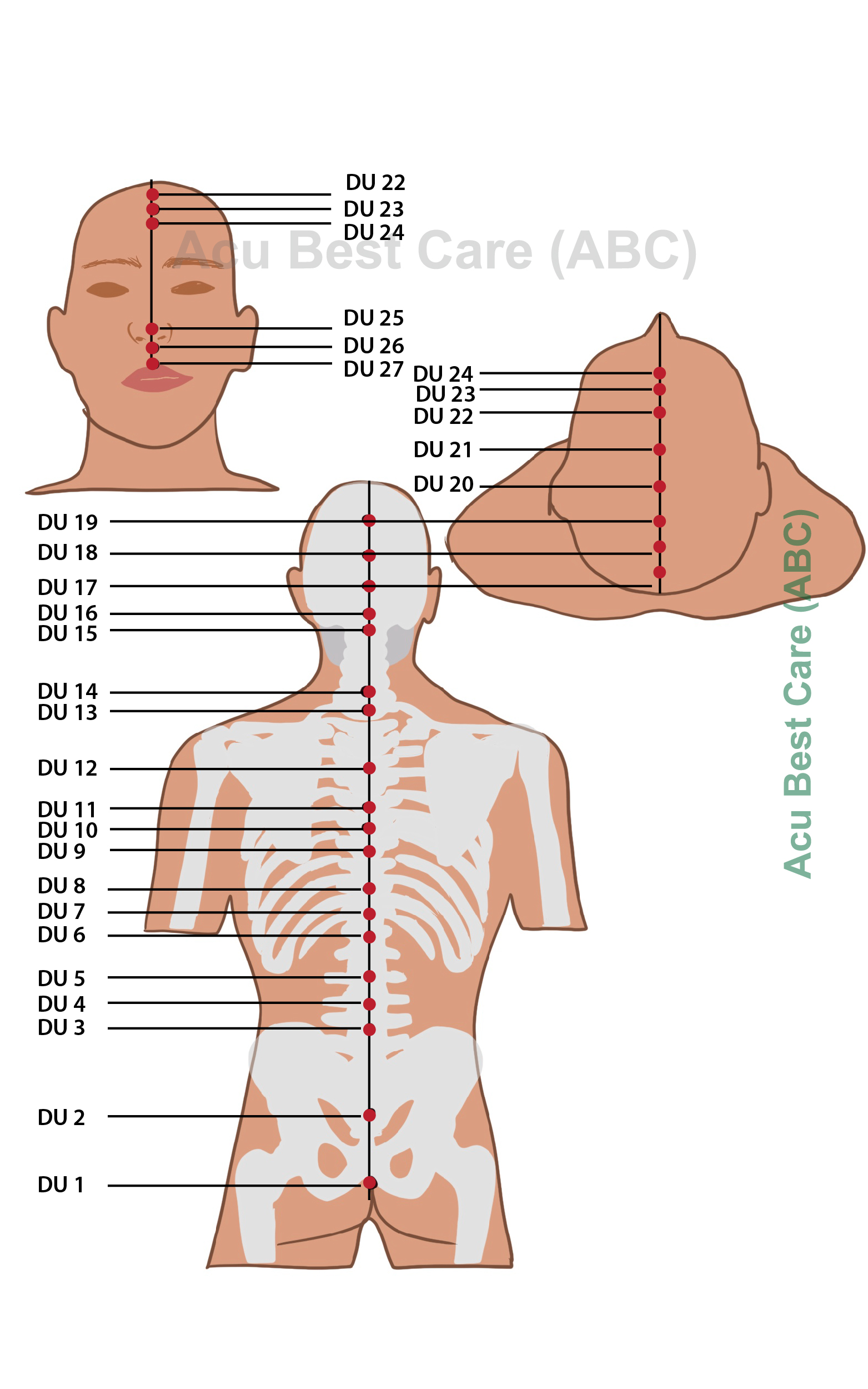 AcuBestCare Meridians